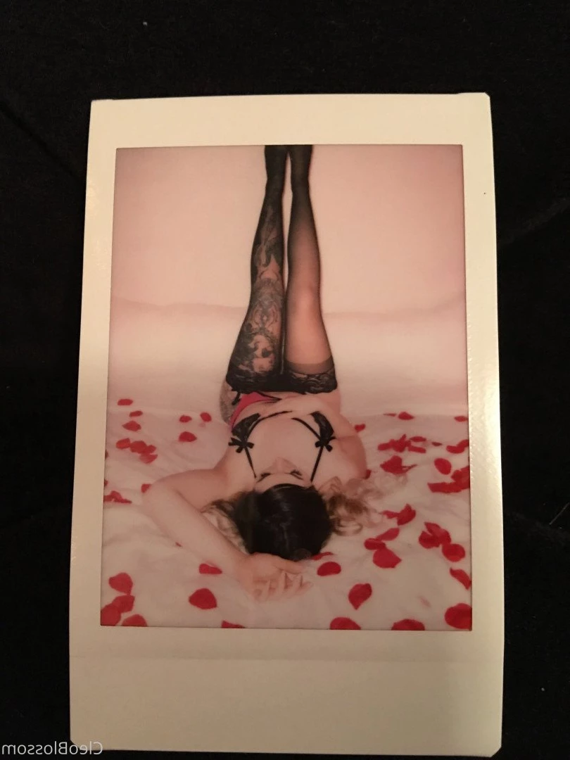 cleo blossom ♡ [ cleoblossom ] Onlyfans leaked photo 264686 on Hotleaks.tv