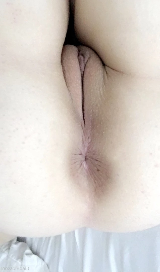 cleo blossom ♡ [ cleoblossom ] Onlyfans leaked photo 264747 on Hotleaks.tv