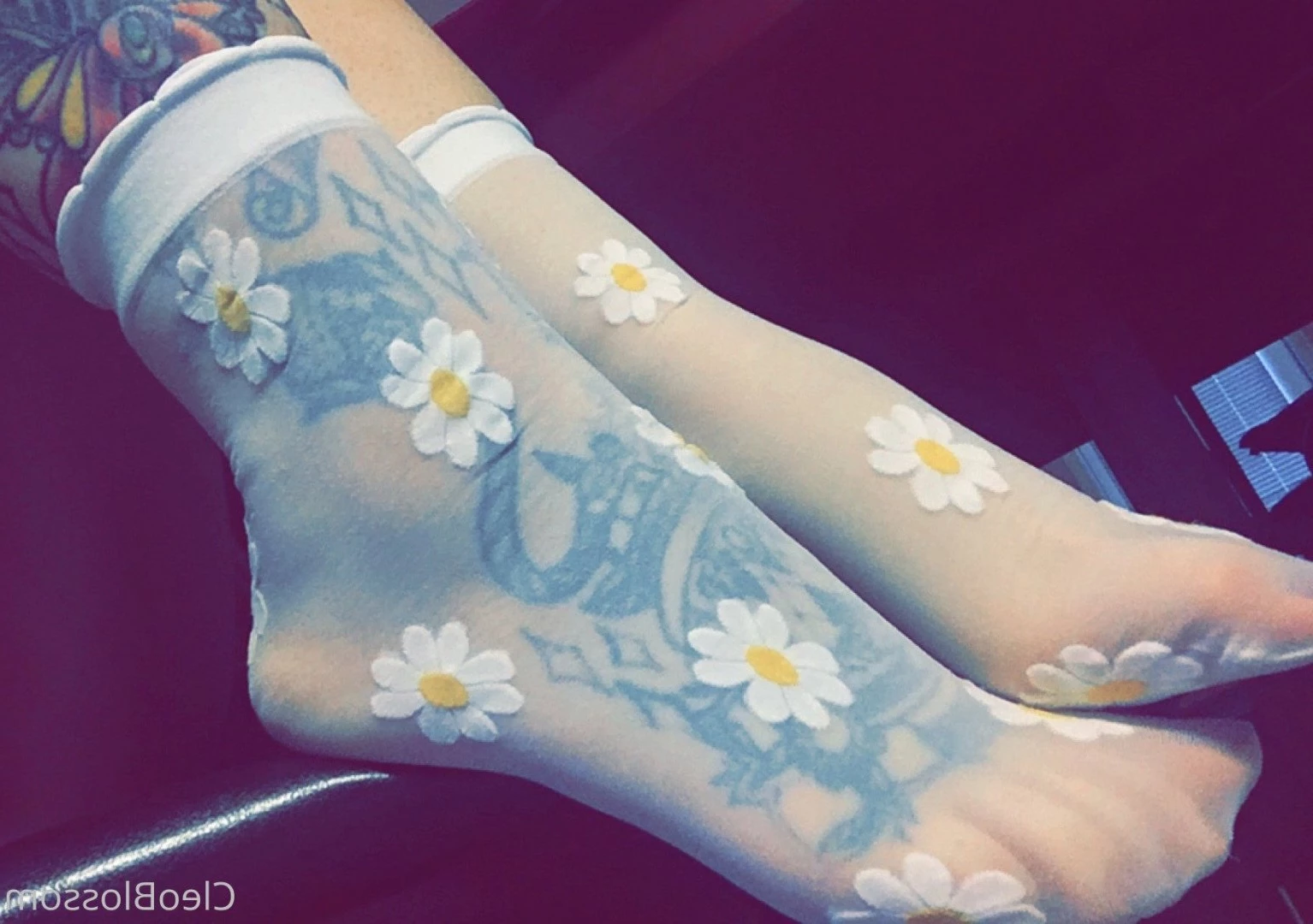 cleo blossom ♡ [ cleoblossom ] Onlyfans leaked photo 265253 on Hotleaks.tv