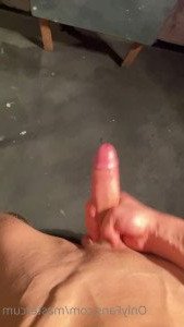 3291058
