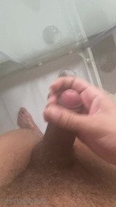 3291698