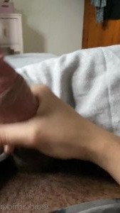 3291723
