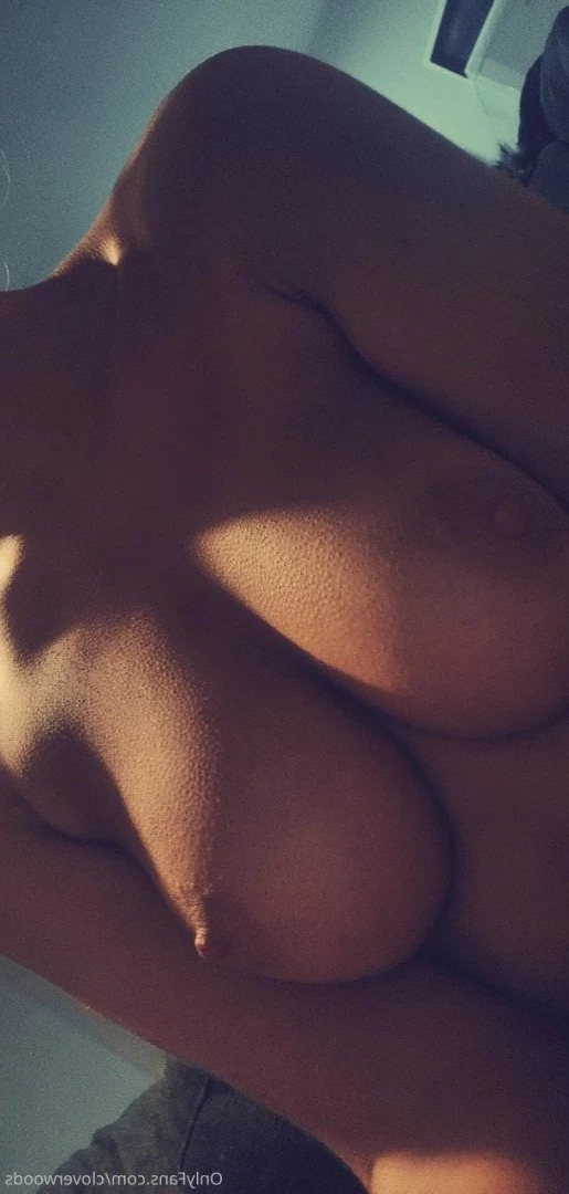 Clover ✨ (0.93%) [ cloverwoods ] Onlyfans leaked photo 266035 on Hotleaks.tv