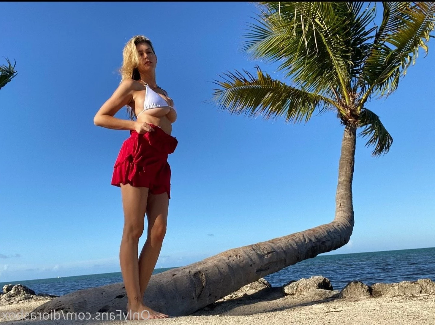 Diora's Box [ diorasbox ] Onlyfans leaked photo 3475024 on Hotleaks.tv