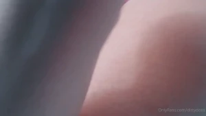 13649154