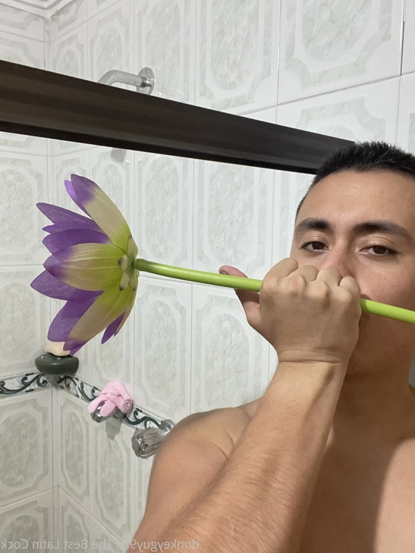 donkeyguy92x Onlyfans leaked photo 3489469 on Hotleaks.tv