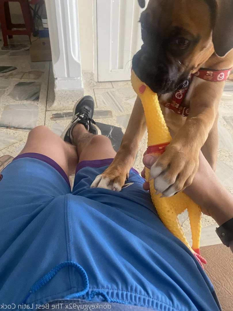 donkeyguy92x Onlyfans leaked photo 3489658 on Hotleaks.tv