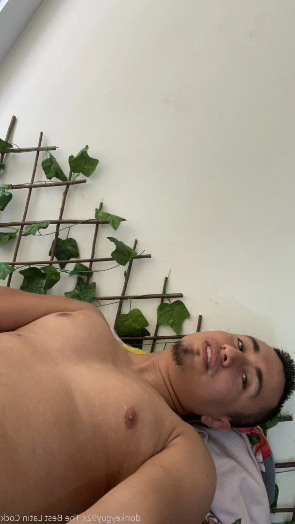 donkeyguy92x Onlyfans leaked photo 3491104 on Hotleaks.tv