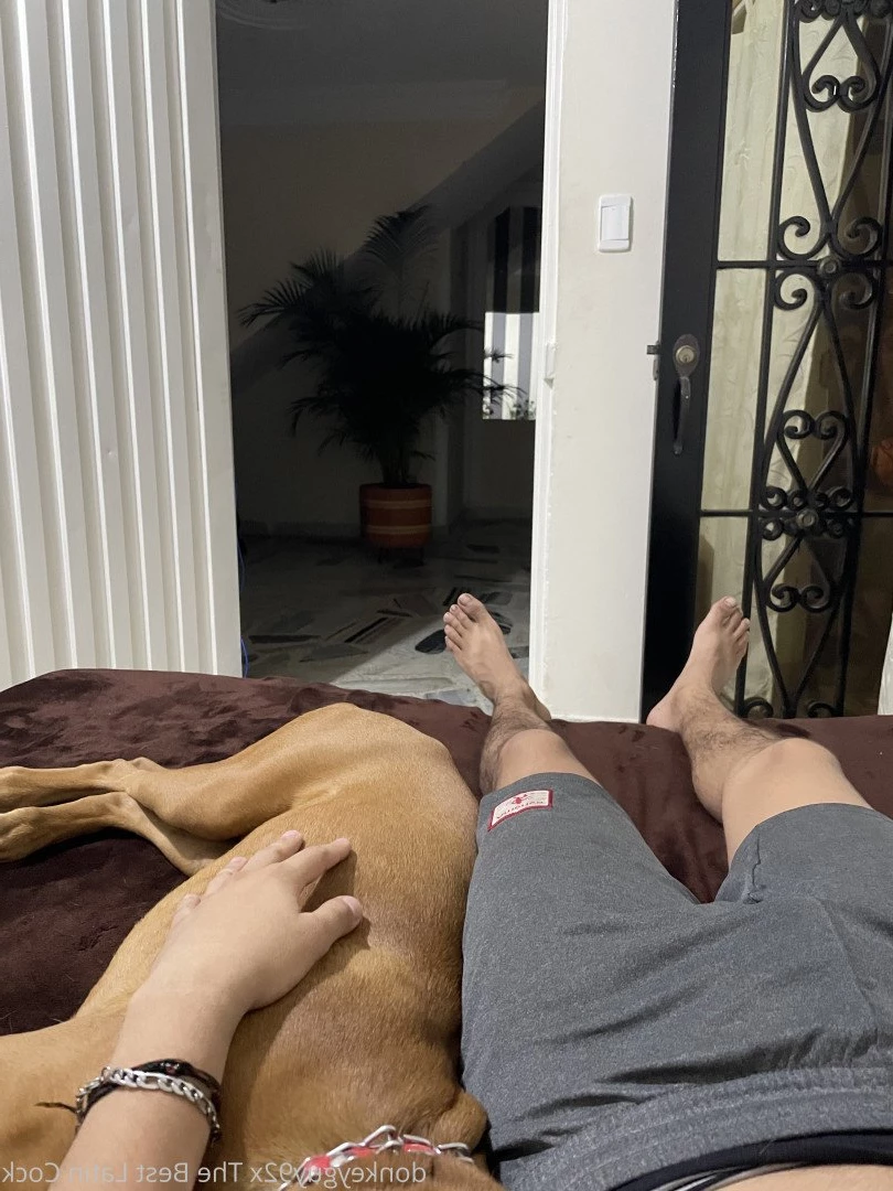 donkeyguy92x Onlyfans leaked photo 3491838 on Hotleaks.tv