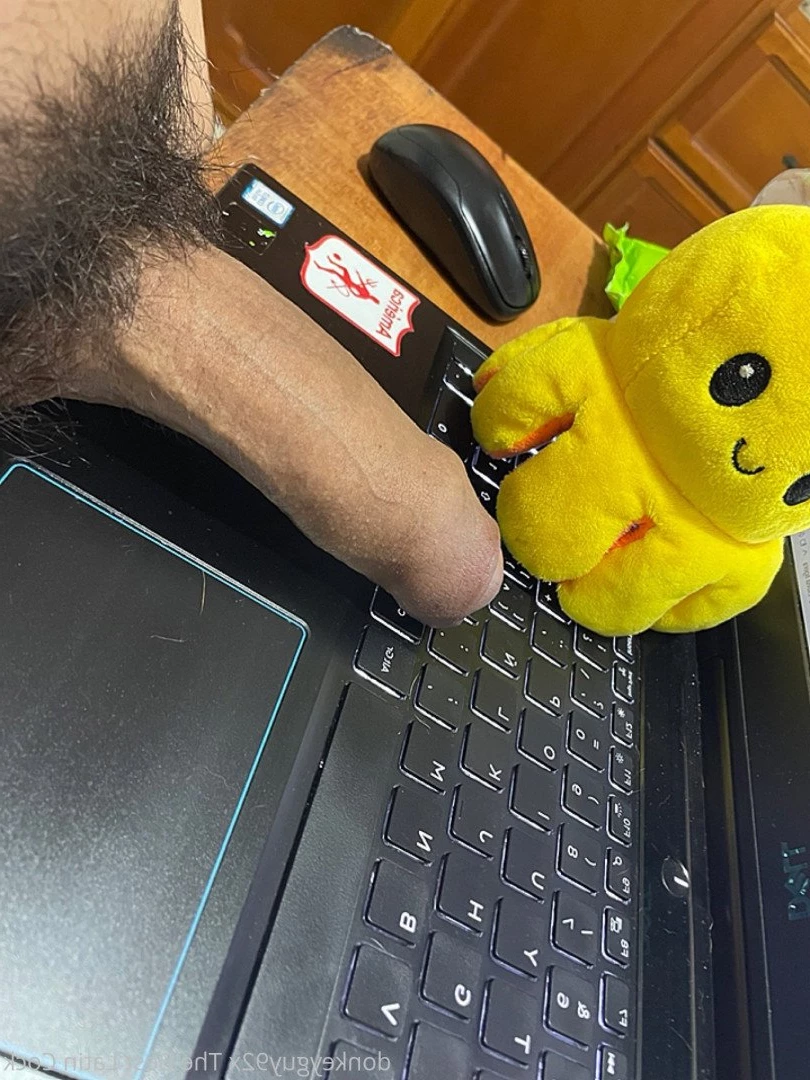 donkeyguy92x Onlyfans leaked photo 3492213 on Hotleaks.tv