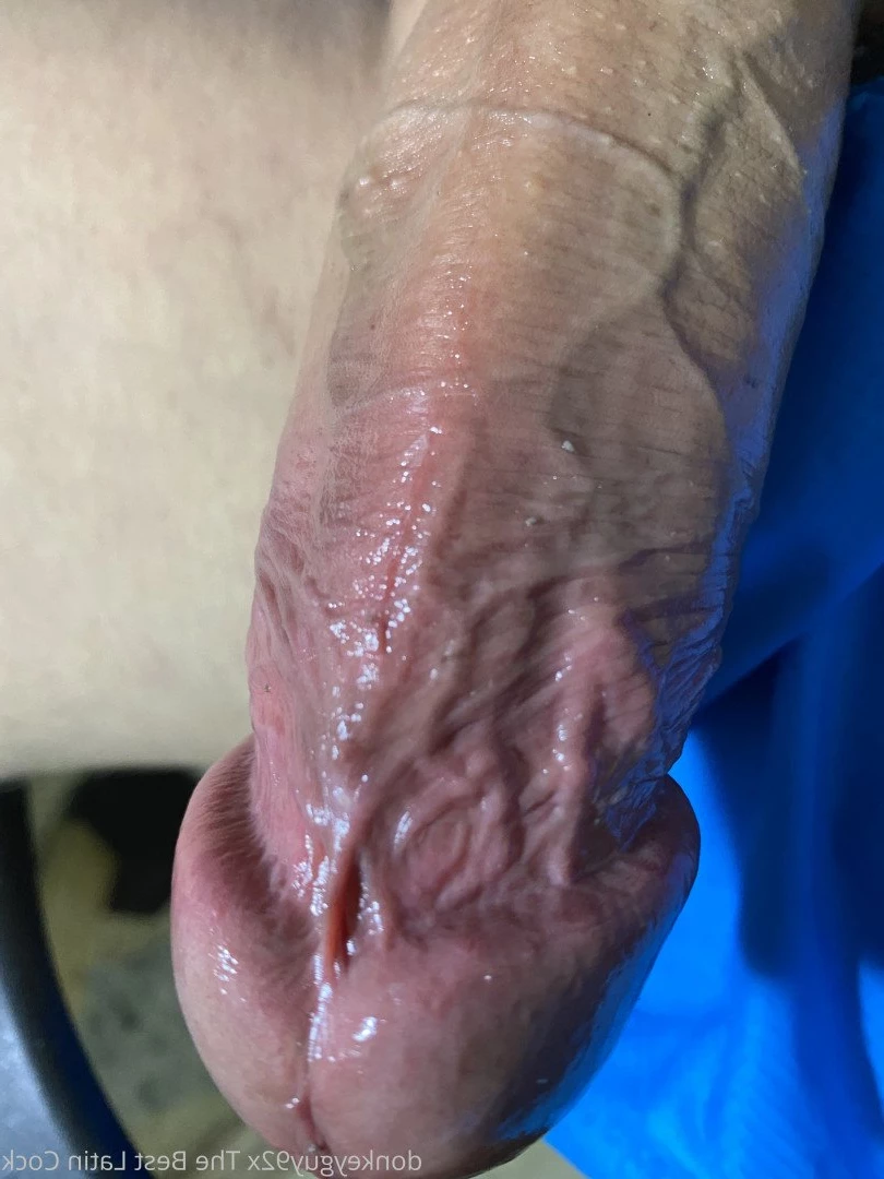 donkeyguy92x Onlyfans leaked photo 3492457 on Hotleaks.tv