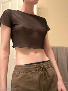 15465597
