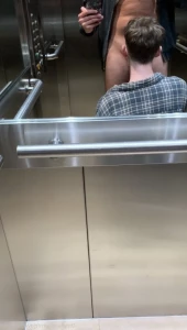 3386841