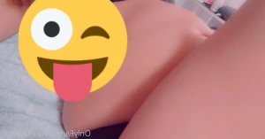 3381709