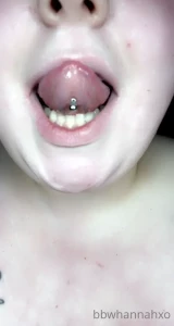 16256054