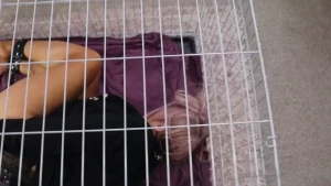 Emily [ emily_james ] Onlyfans leaked video 10636044 on Hotleaks.tv