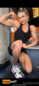 15955388