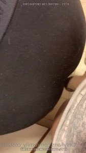 3330894