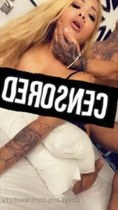 3338631
