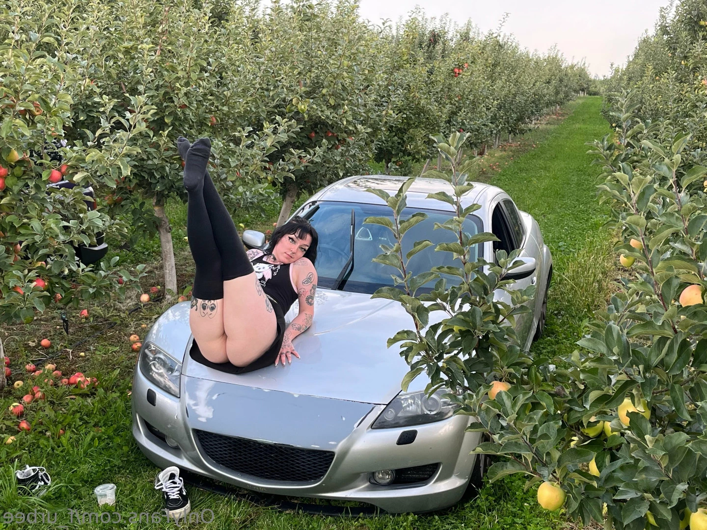 furbs [ f_urbee ] Onlyfans leaked photo 6829894 on Hotleaks.tv