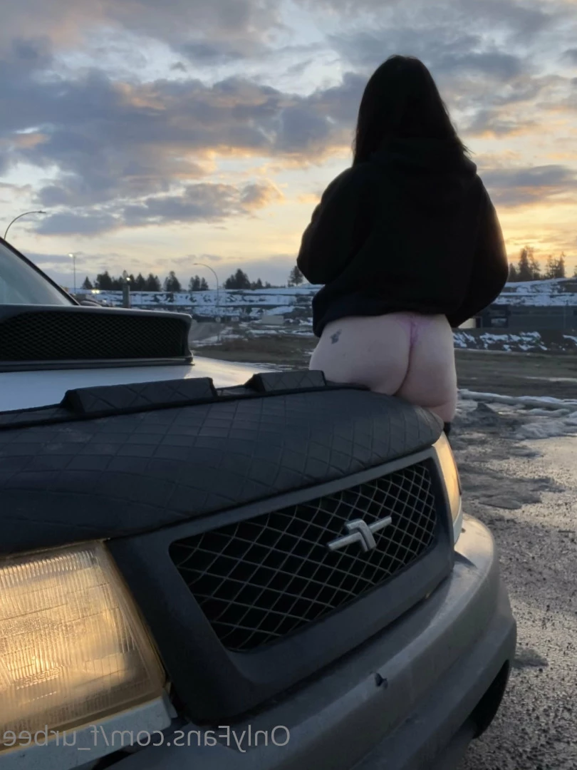 furbs [ f_urbee ] Onlyfans leaked photo 6845186 on Hotleaks.tv