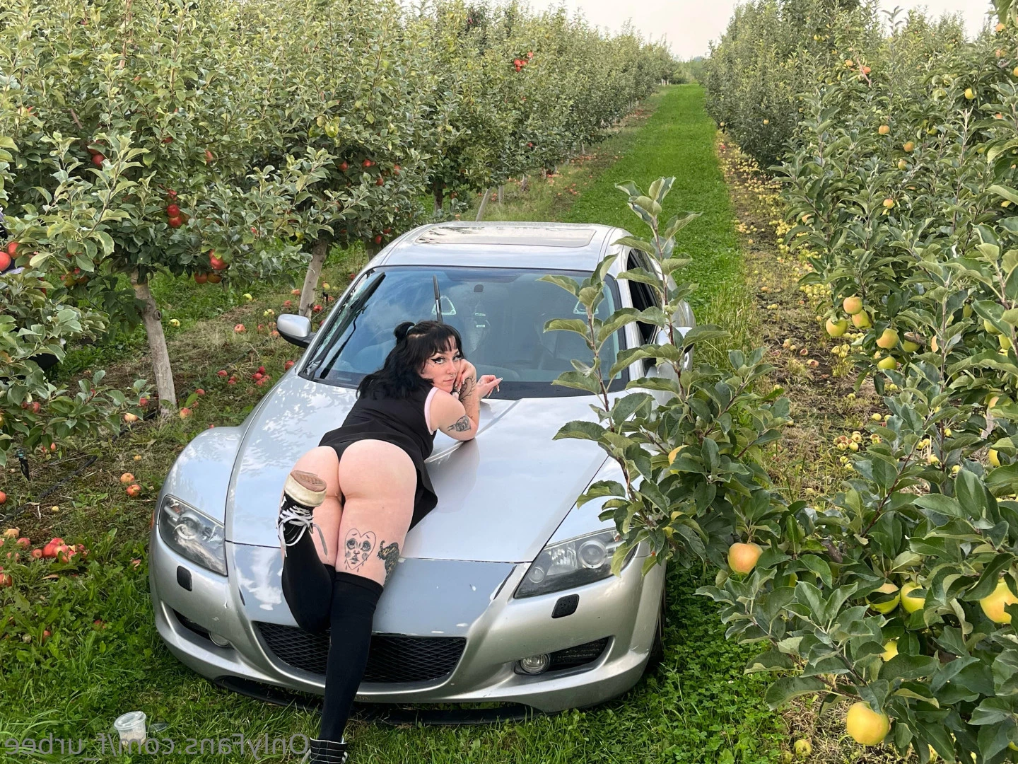 furbs [ f_urbee ] Onlyfans leaked photo 6862081 on Hotleaks.tv
