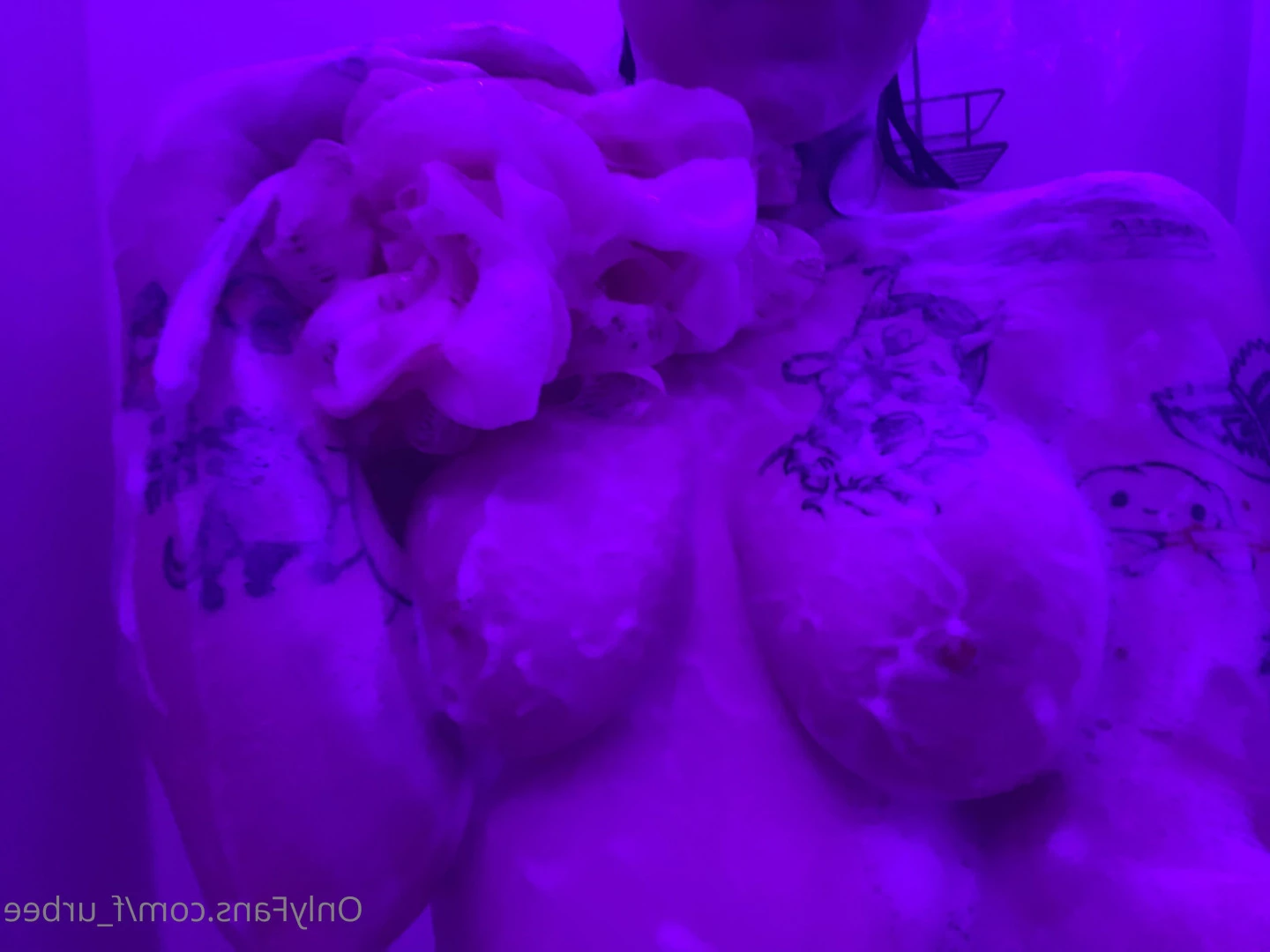 furbs [ f_urbee ] Onlyfans leaked photo 6877401 on Hotleaks.tv