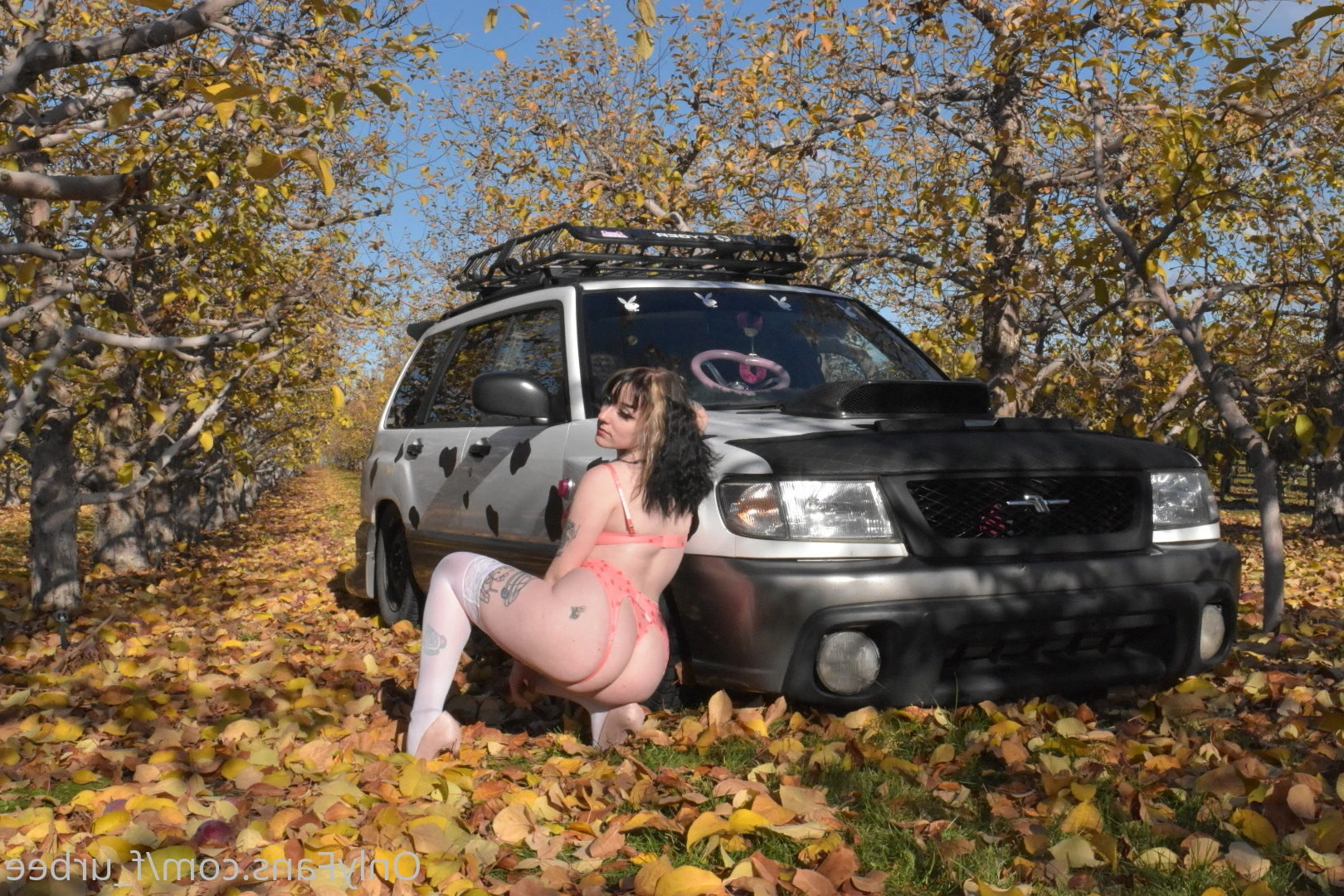 furbs [ f_urbee ] Onlyfans leaked photo 6885034 on Hotleaks.tv