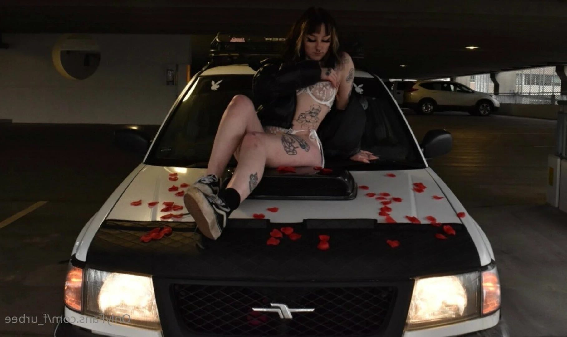 furbs [ f_urbee ] Onlyfans leaked photo 6887610 on Hotleaks.tv