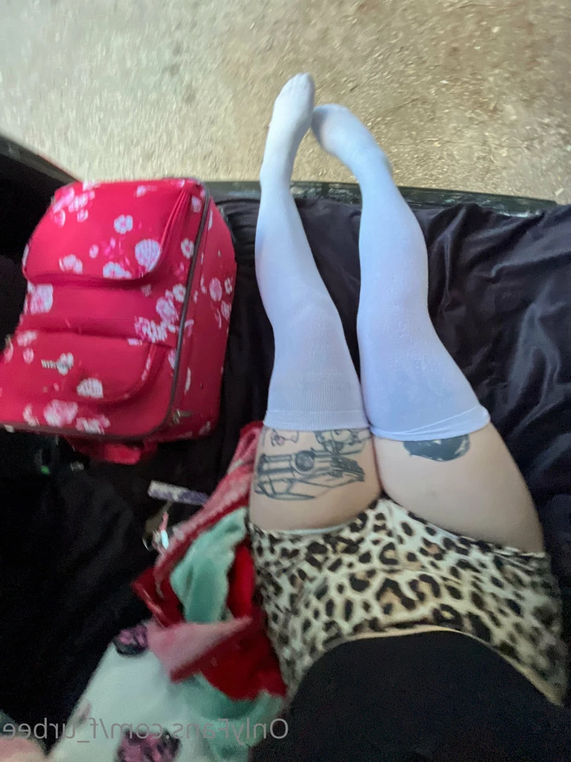 furbs [ f_urbee ] Onlyfans leaked photo 6898800 on Hotleaks.tv