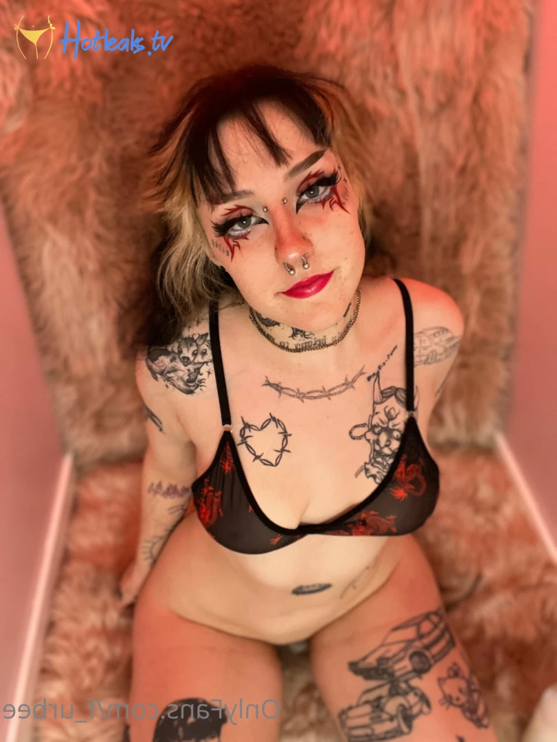 furbs [ f_urbee ] Onlyfans leaked photo 6906133 on Hotleaks.tv