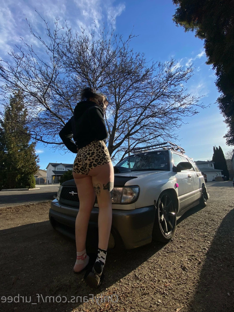 furbs [ f_urbee ] Onlyfans leaked photo 6922993 on Hotleaks.tv
