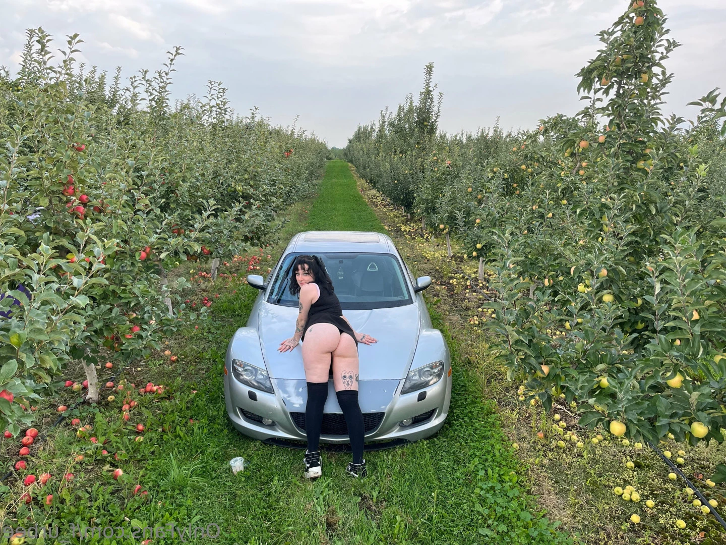 furbs [ f_urbee ] Onlyfans leaked photo 6926413 on Hotleaks.tv