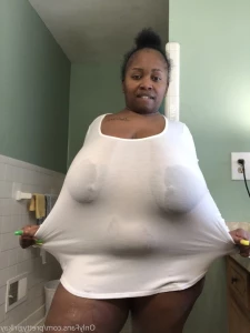 3341699