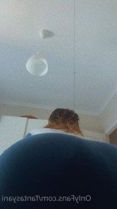 3342733