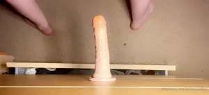 10634146