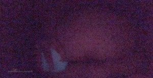 ur very interactive gf 🥺💕 [ fatgf ] Onlyfans leaked video 3344739 on Hotleaks.tv