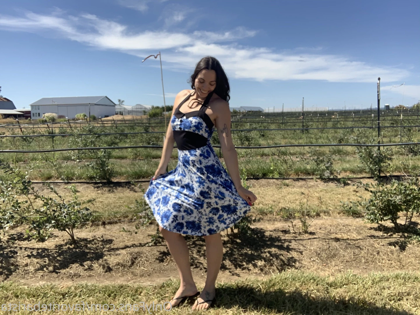 hausfairy 🔞 [ favoritebarista ] Onlyfans leaked photo 5957728 on Hotleaks.tv