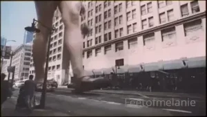 16188029