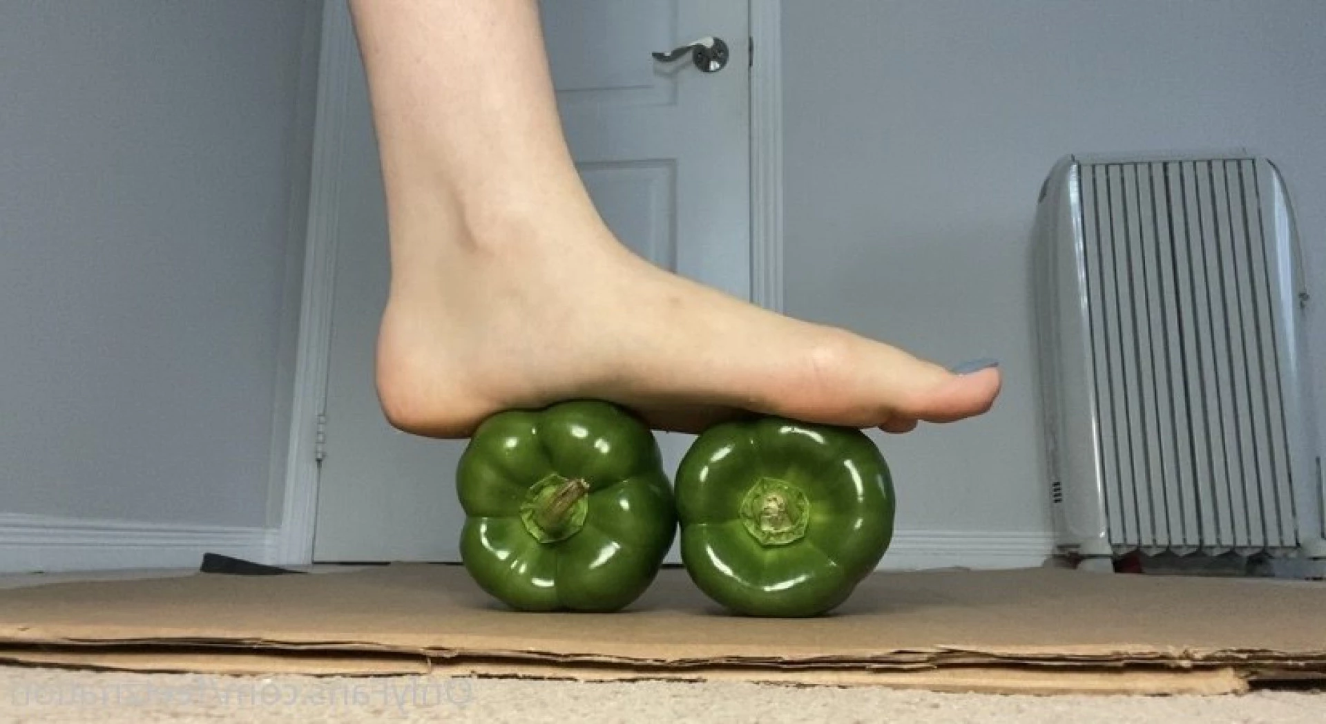 QueenZ’sFeet 👑🦶🏼 [ feetznation ] Onlyfans leaked photo 5898551 on Hotleaks.tv