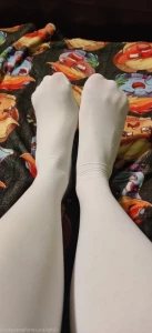 3727404