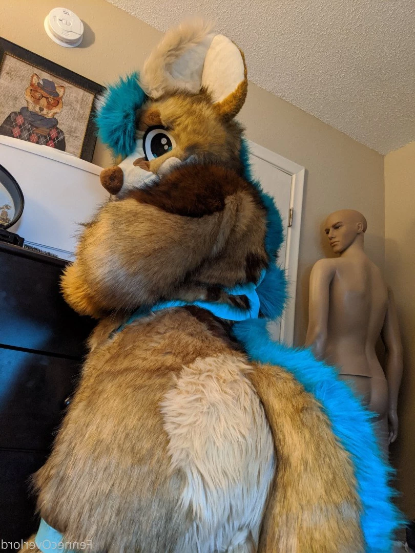 fennecoverlord Onlyfans leaked photo 3215381 on Hotleaks.tv