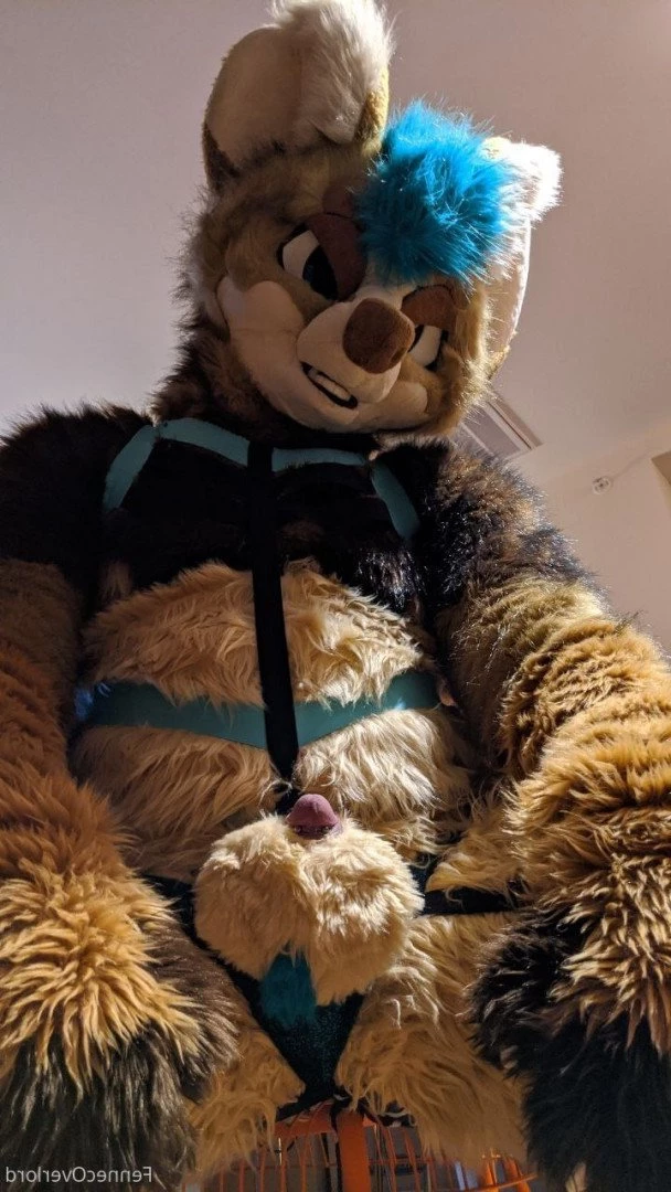 fennecoverlord Onlyfans leaked photo 3215418 on Hotleaks.tv