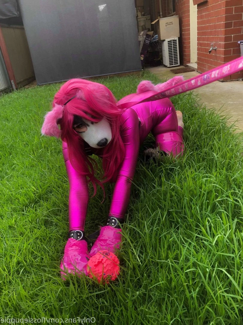 Flossie Puppygirl🐾💖 [ flossiepuppie ] Onlyfans leaked photo 3411972 on Hotleaks.tv