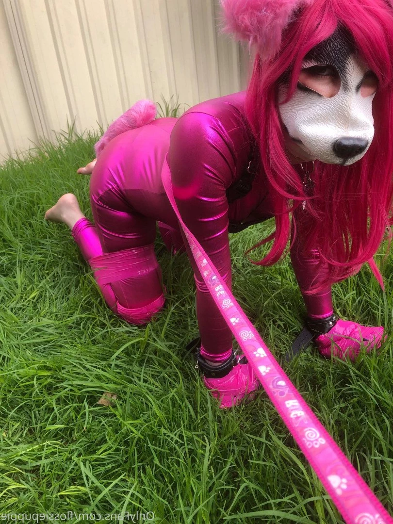 Flossie Puppygirl🐾💖 [ flossiepuppie ] Onlyfans leaked photo 3413756 on Hotleaks.tv