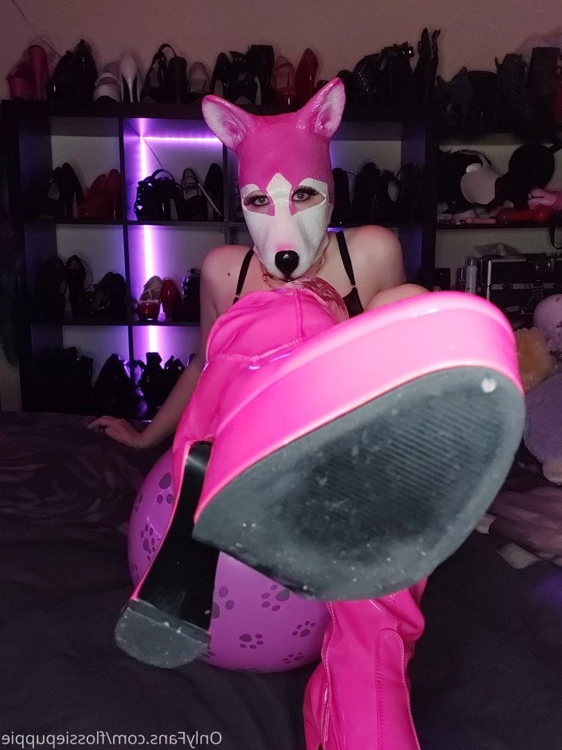 Flossie Puppygirl🐾💖 [ flossiepuppie ] Onlyfans leaked photo 3414050 on Hotleaks.tv