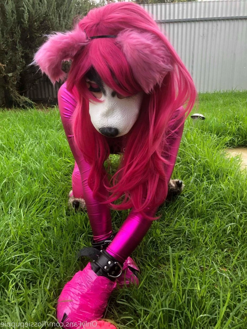 Flossie Puppygirl🐾💖 [ flossiepuppie ] Onlyfans leaked photo 3415226 on Hotleaks.tv