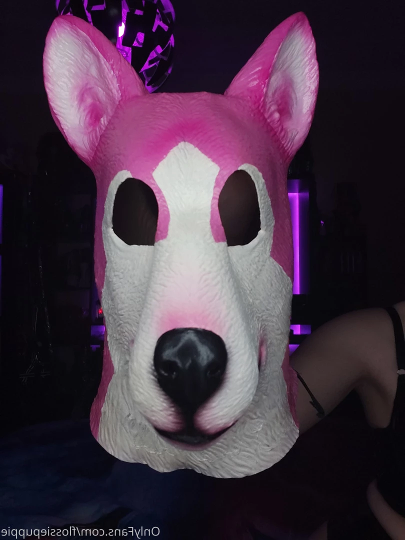Flossie Puppygirl🐾💖 [ flossiepuppie ] Onlyfans leaked photo 9836126 on Hotleaks.tv