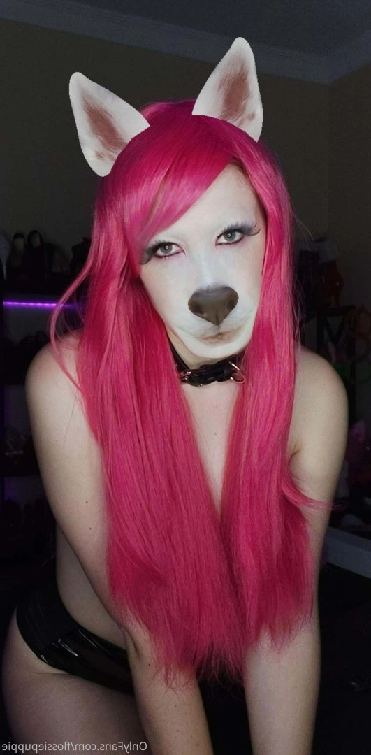 Flossie Puppygirl🐾💖 [ flossiepuppie ] Onlyfans leaked photo 9837341 on Hotleaks.tv