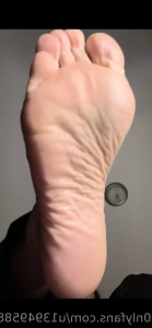 11826727